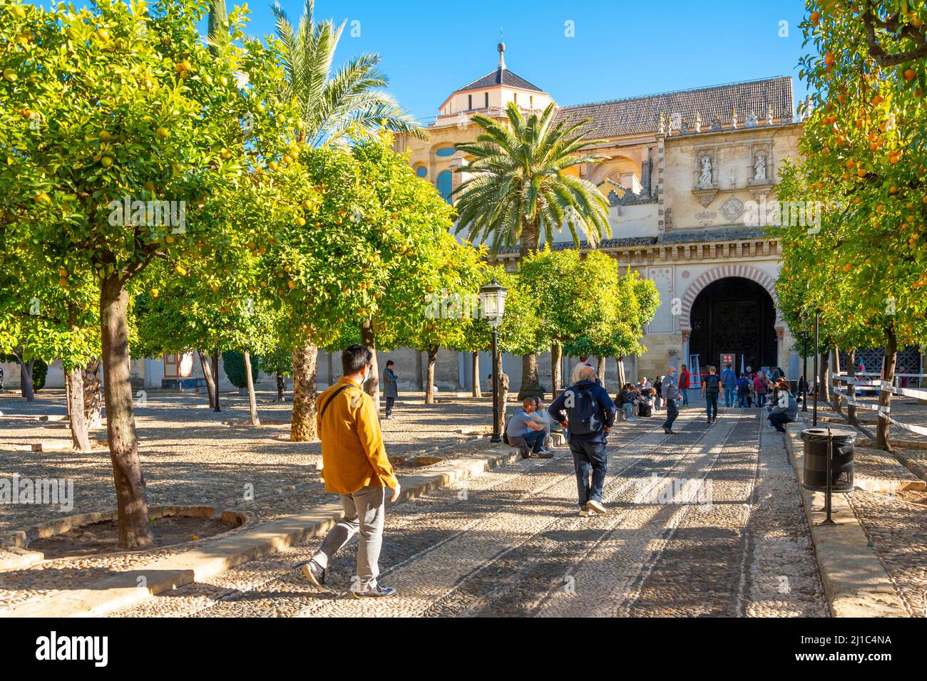 Der Eingang und der Garten im Innenhof der mittelalterlichen Mezquita-Moschee im historischen Zentrum von Cordoba, Spanien. Stockfoto