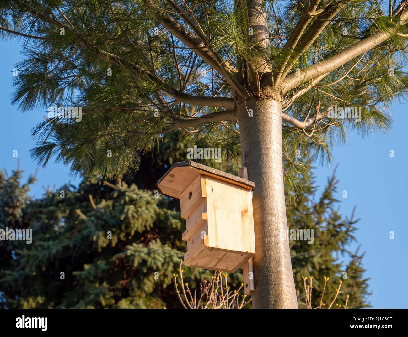 Nistkasten für Vögel auf einem Baum im Garten Stockfoto