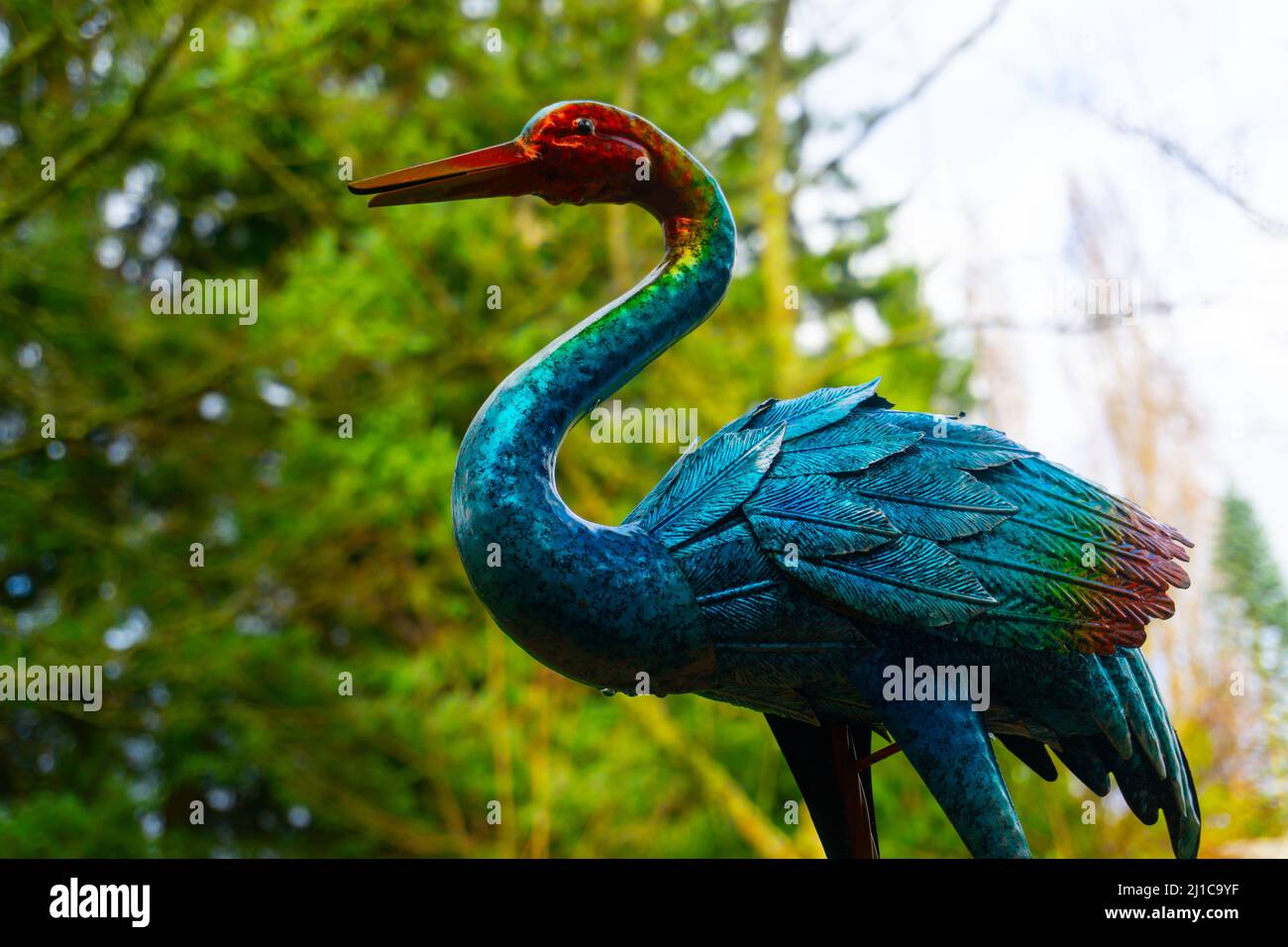 Ein Vogel, der eine klare Mischung aus einem Falmingo und einem Kranich hat, sitzt in einem Hof als Dekoration vor einer baumgefüllten Kulisse. Stockfoto