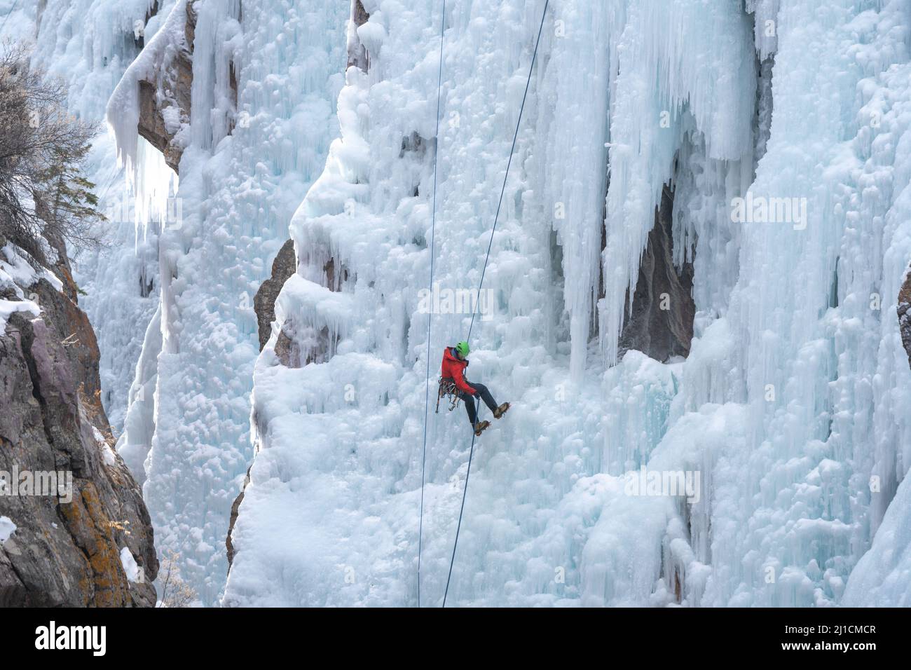 Ein Eiskletterer sabelt eine 160 m hohe Eiswand im Bereich Pick o' the Vic im Ouray Ice Park, Colorado, herunter, Stockfoto