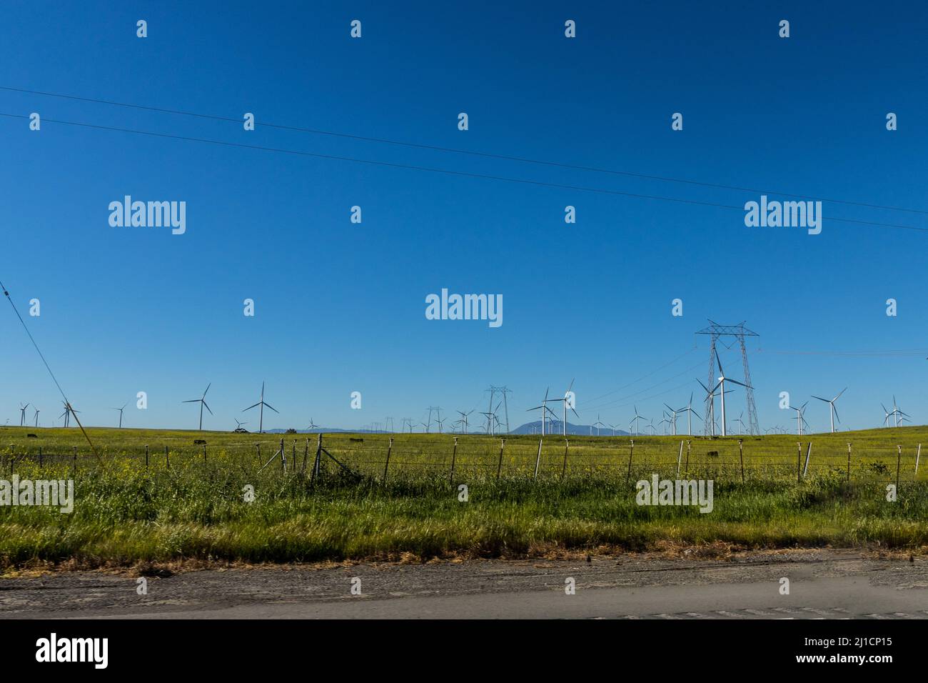 Windgeneratoren teilen sich das Weideland entlang des Highway 12 mit Mount Diablo im Hintergrund Solano County California USA Stockfoto