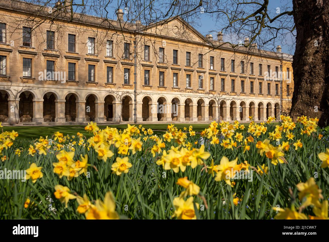 The New Building, Magdalen College, Oxford, Großbritannien Stockfoto