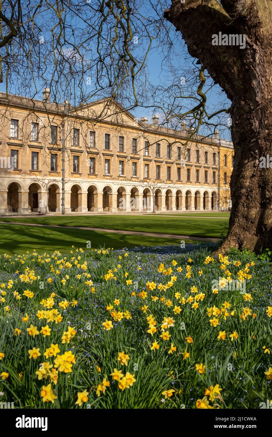 The New Building, Magdalen College, Oxford, Großbritannien Stockfoto