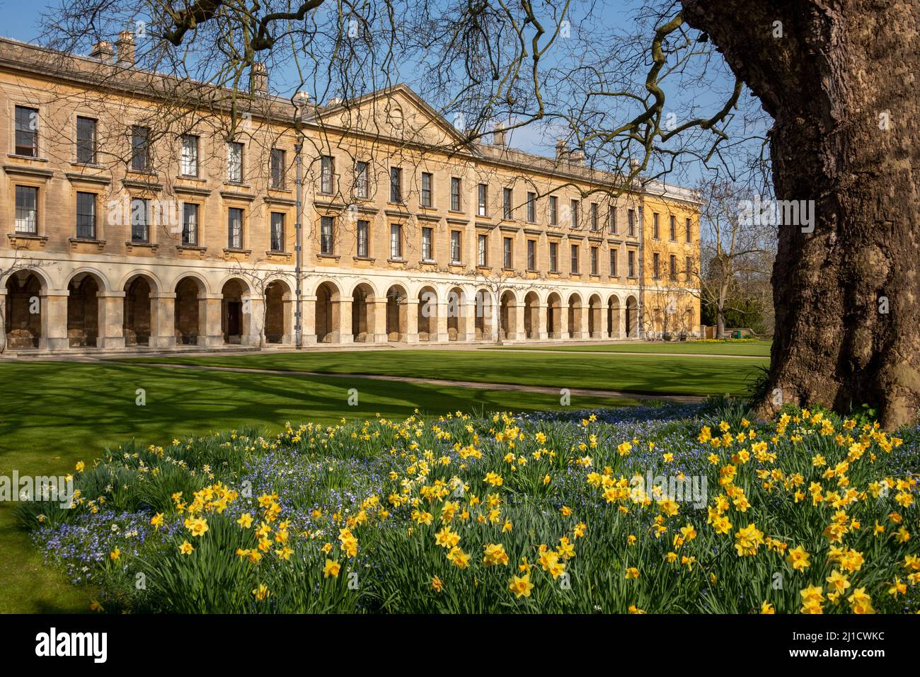 The New Building, Magdalen College, Oxford, Großbritannien Stockfoto