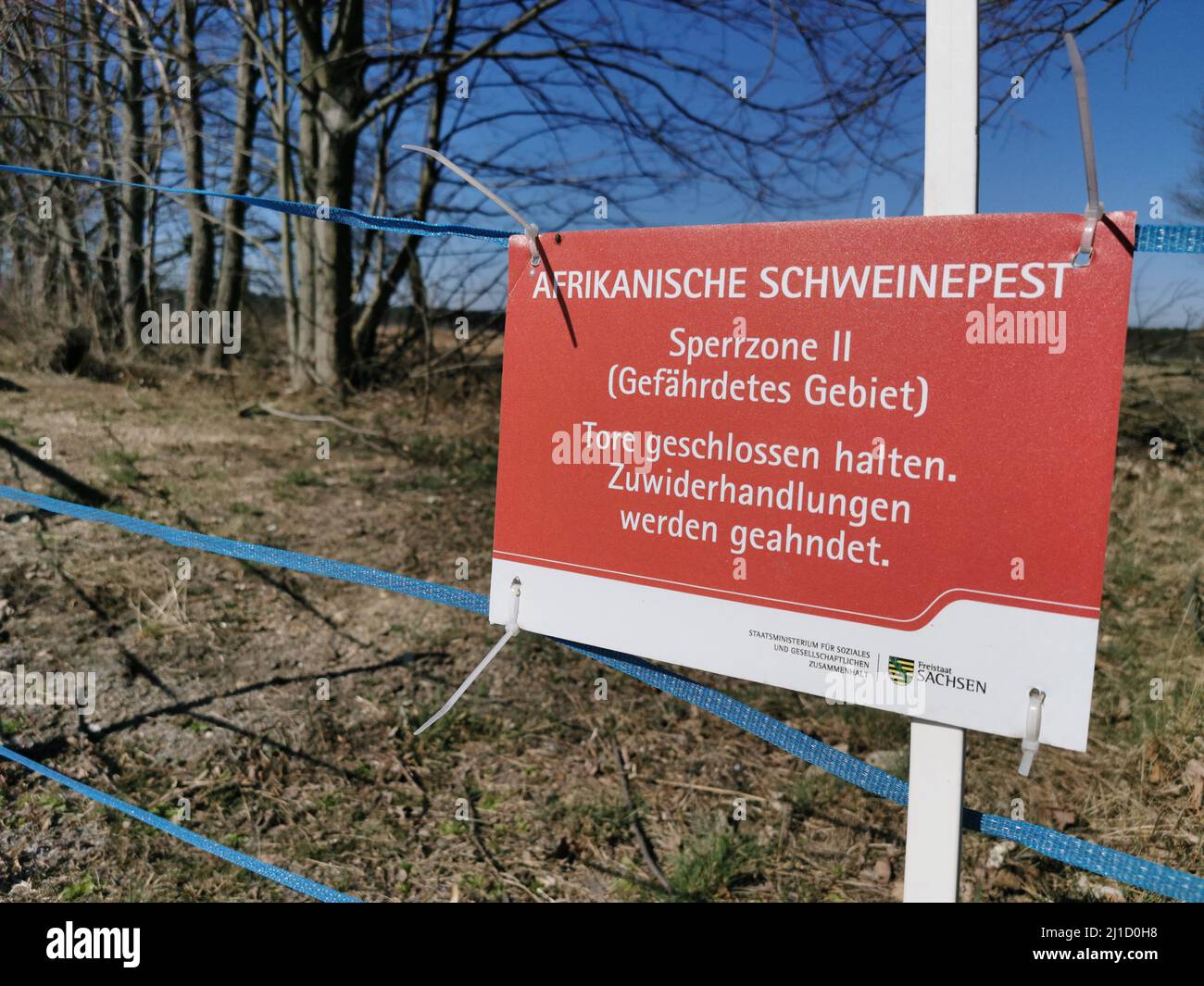 Ein Hinweisschild mit der Aufschrift Afrikanische Schweinepest bei Wildschweinen - Sperrzone - gefährliches Gebiet. (Themenbild, Symbolbild) Zentendorf Stockfoto