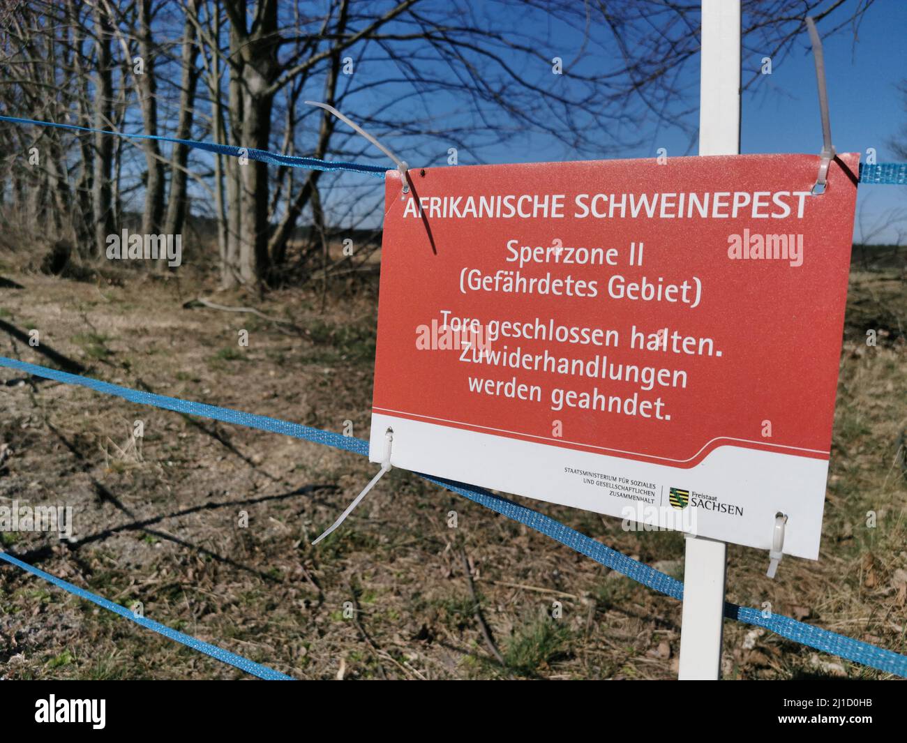 Ein Hinweisschild mit der Aufschrift Afrikanische Schweinepest bei Wildschweinen - Sperrzone - gefährliches Gebiet. (Themenbild, Symbolbild) Zentendorf Stockfoto