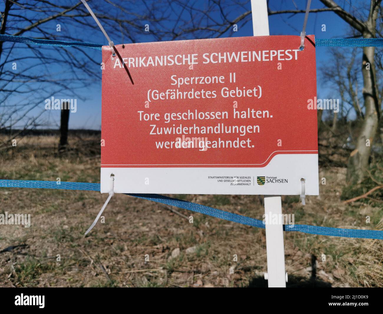 Ein Hinweisschild mit der Aufschrift Afrikanische Schweinepest bei Wildschweinen - Sperrzone - gefährliches Gebiet. (Themenbild, Symbolbild) Zentendorf Stockfoto