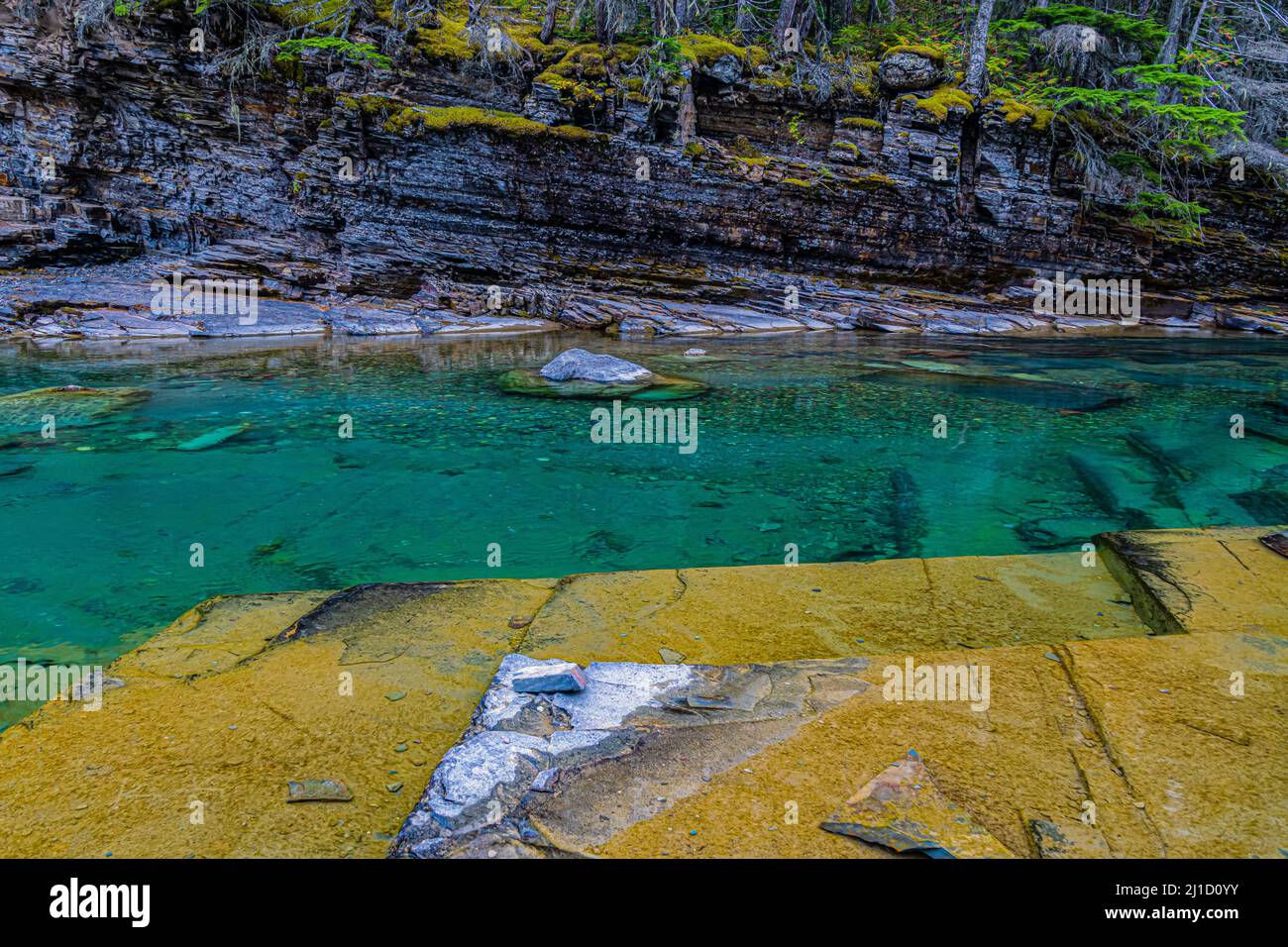 Das klare Wasser von McDonald Creek, Glacier National Park, Montana, USA Stockfoto