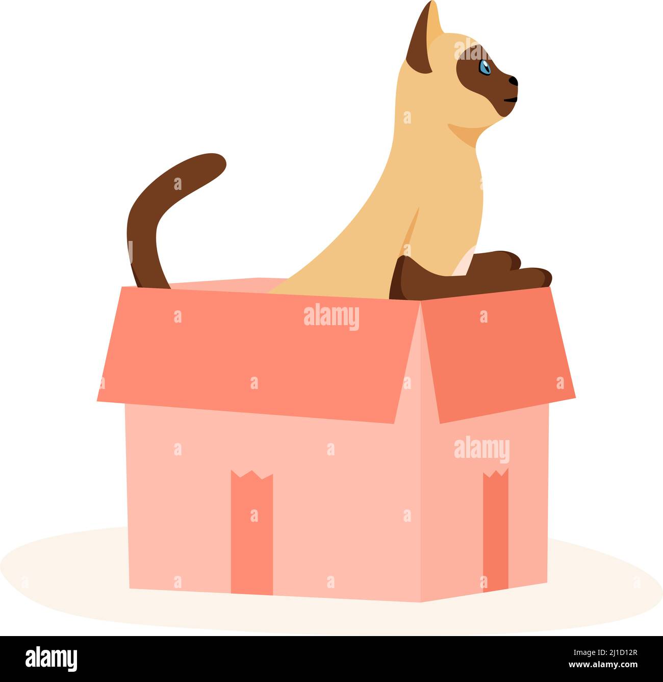 Siamkatze sitzt in der Box. Niedliches Haustier spielt in einem Papierkoffer. Versteck- und Ruheplatz für flauschigen Untertaufer. Vektor mit flachem Stil Stock Vektor