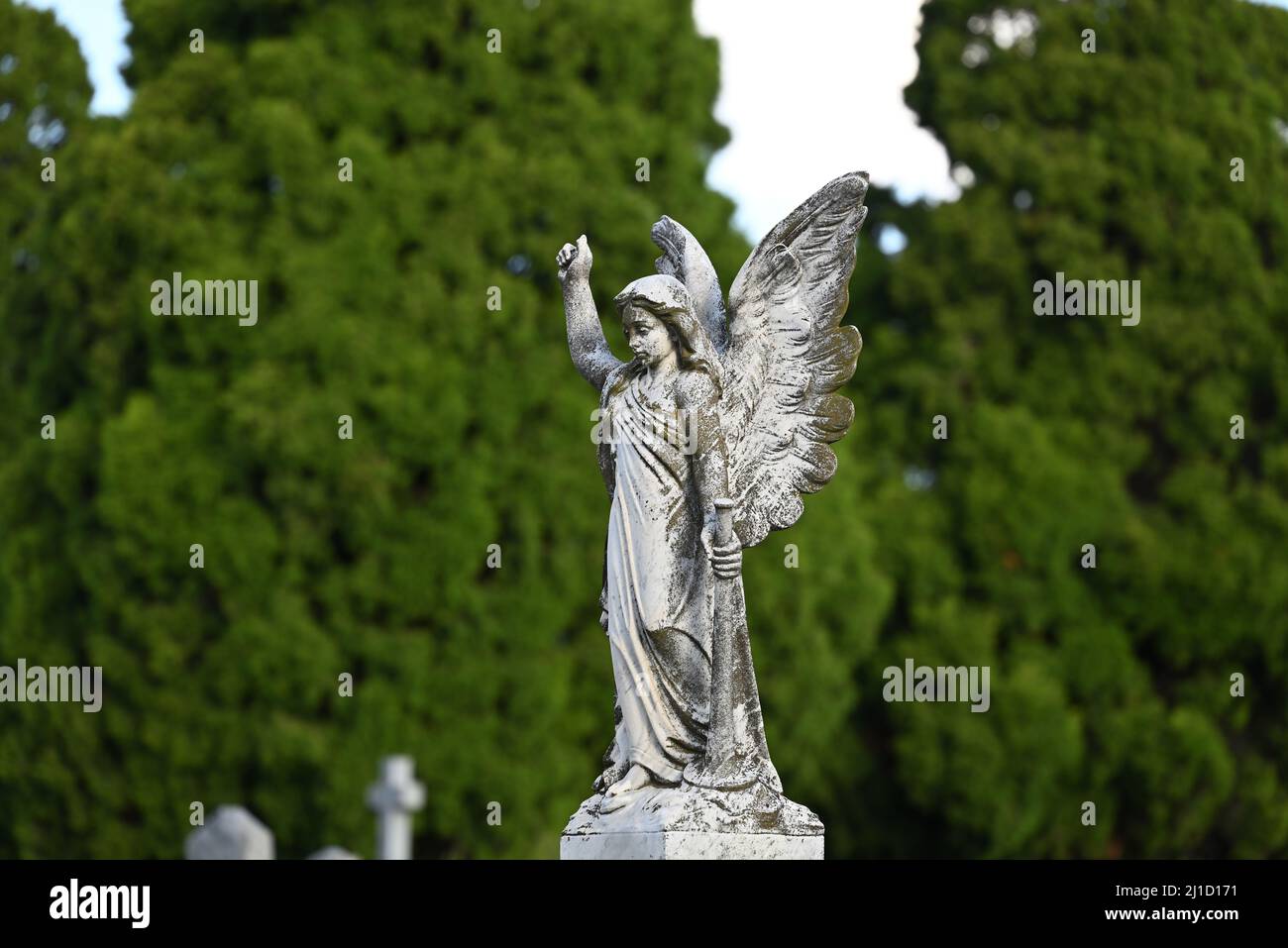 Verwitterte weiße Steinskulptur eines geflügelten Engels auf einem Friedhof, der ein Horn in der linken Hand hält, mit Bäumen im Hintergrund Stockfoto