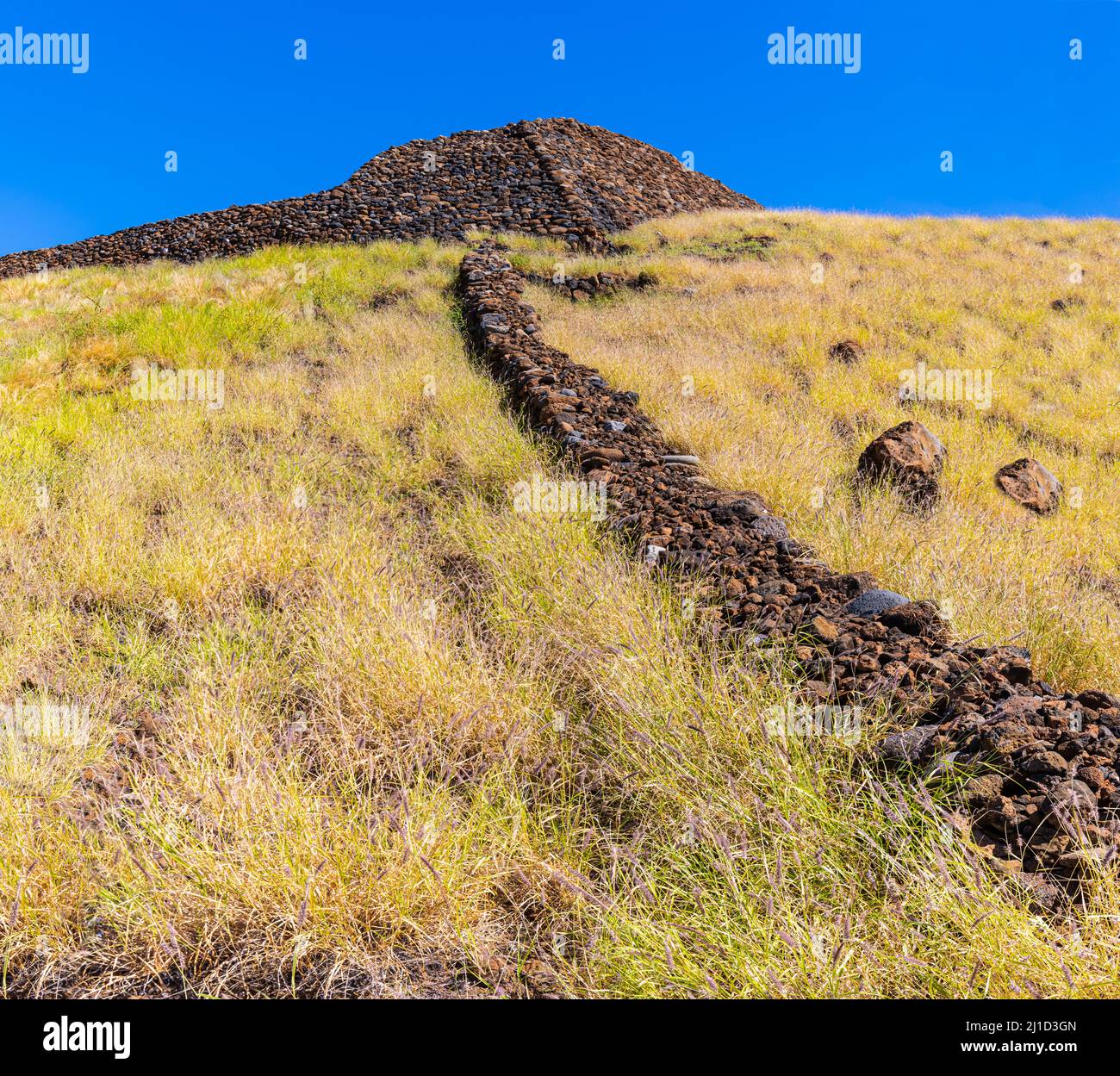 Lavasteinzaun, der bergauf zur nationalen historischen Stätte Pu'ukohola Heiau führt, Hawaii Island, Hawaii, USA Stockfoto