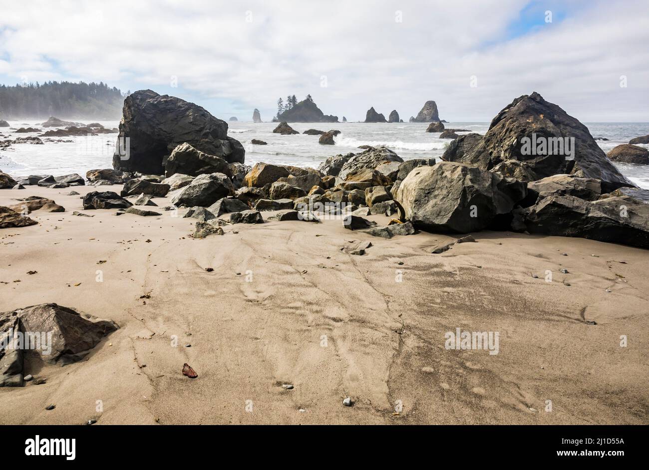 Die südliche Olympische Küste des Staates Washington, USA. Giants Graveyard. Stockfoto