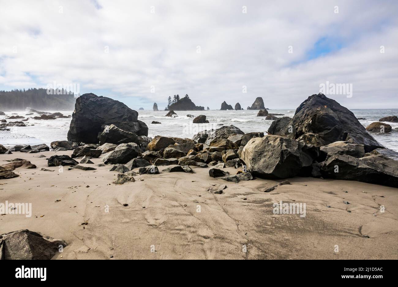 Die südliche Olympische Küste des Staates Washington, USA. Giants Graveyard. Stockfoto