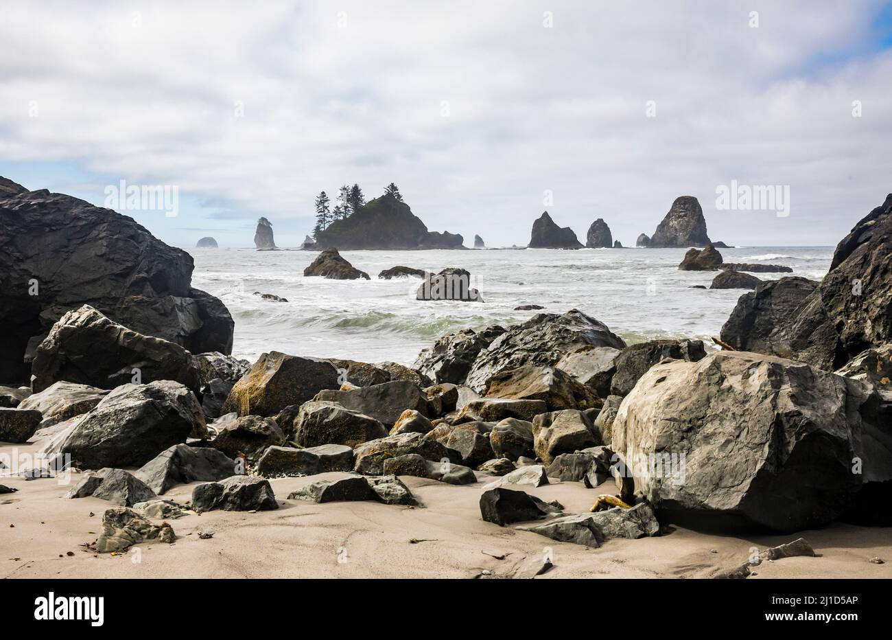 Die südliche Olympische Küste des Staates Washington, USA. Giants Graveyard. Stockfoto