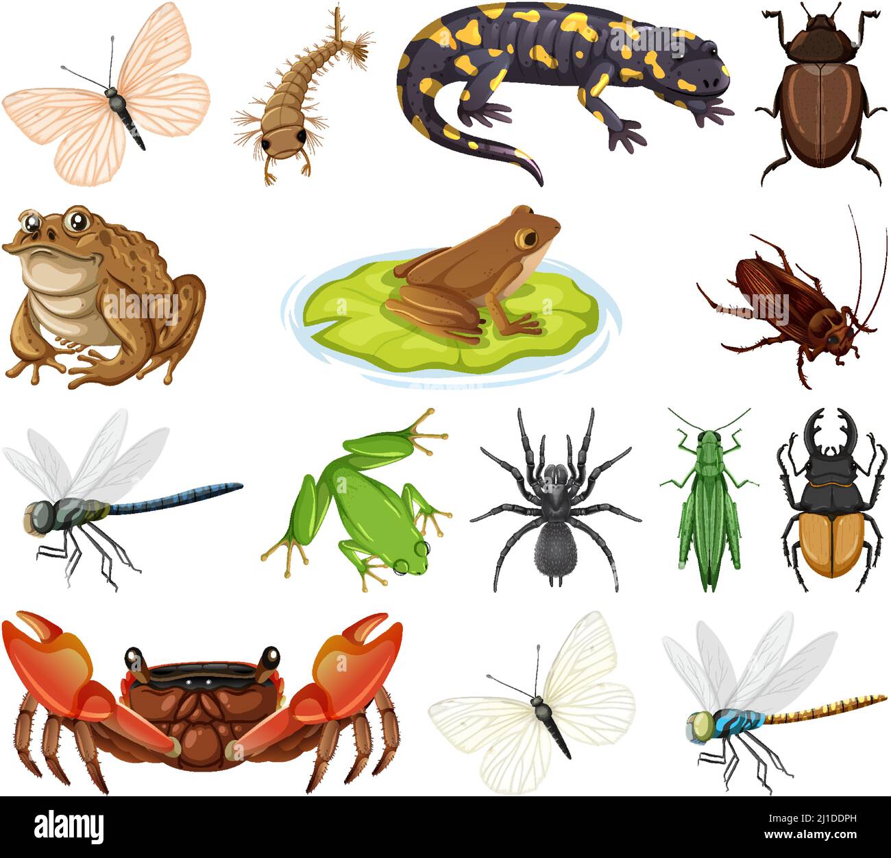 Verschiedene Arten von Insekten und Tieren Illustration Stock Vektor