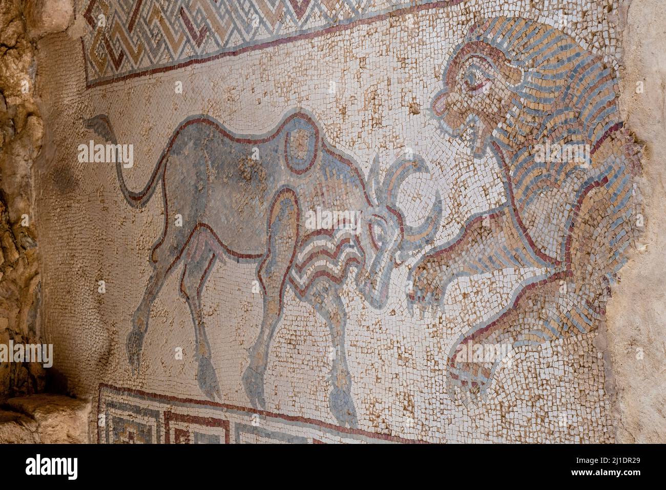 Ein buntes Mosaik im Archäologischen Park 2, Madaba, Jordanien. Stockfoto