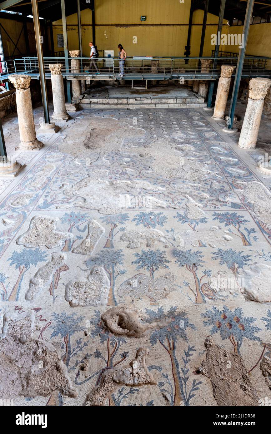 Ein buntes Mosaik im Archäologischen Park 2, Madaba, Jordanien. Stockfoto