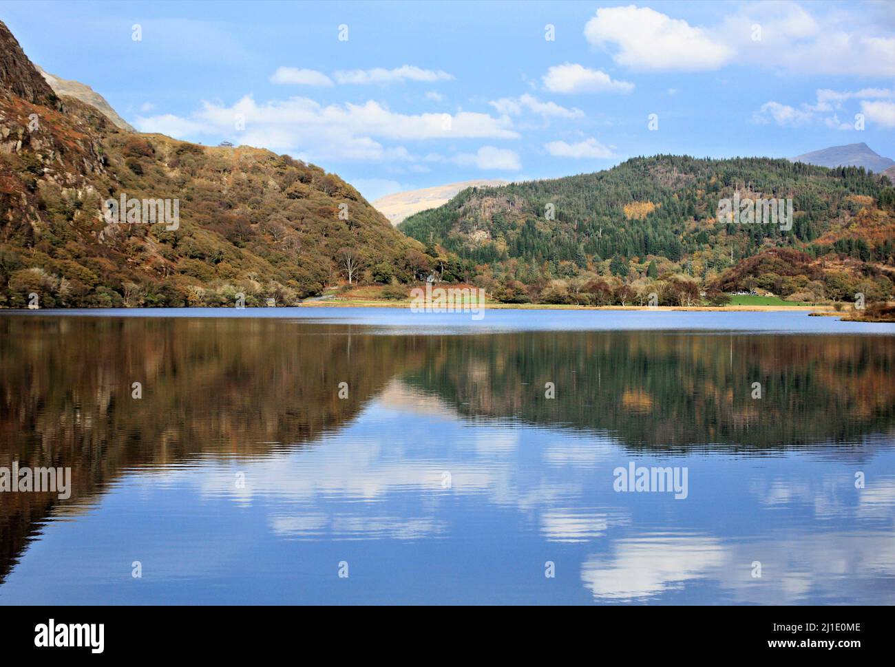 Llyn Dinas Bergwald mit Herbstspiegelungen auf der Wasseroberfläche mit herbstlichen Tönungen und Farben der nahe gelegenen bewaldeten Hügel in der Snowdonia Nati Stockfoto