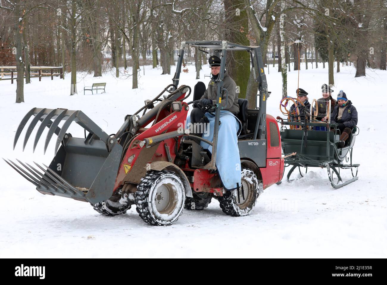 12.02.2021, Deutschland, Sachsen, Graditz - Gestuet Graditz, Auszubildende des Gestuet werden in einem Schlitten von einem Minibagger gezogen, da kein Pferd vorhanden ist. Stockfoto