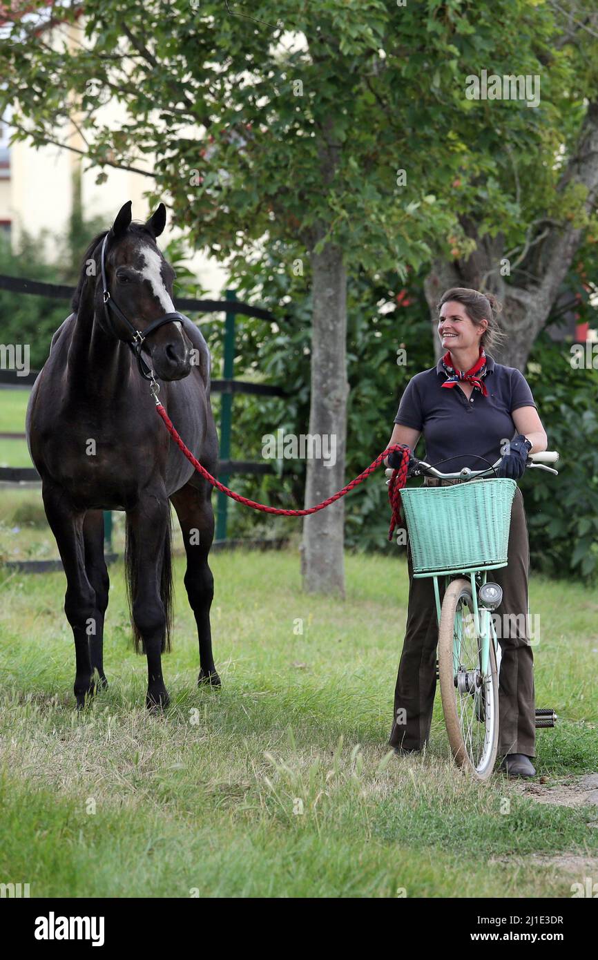 20.08.2021, Deutschland, Rheinland-Pfalz, Ingelheim - Gestuet Westerberg, Frau auf einem Fahrrad, die ein Pferd am Bleiseil hält. 00S210820D233CAROEX.JP Stockfoto