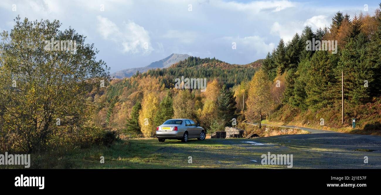 Natur, die Rückgewinnung ehemaliger Cyffty Mine im Herbst Betws Y Coed Snowdonia National Park Gwynedd North Wales UK Stockfoto