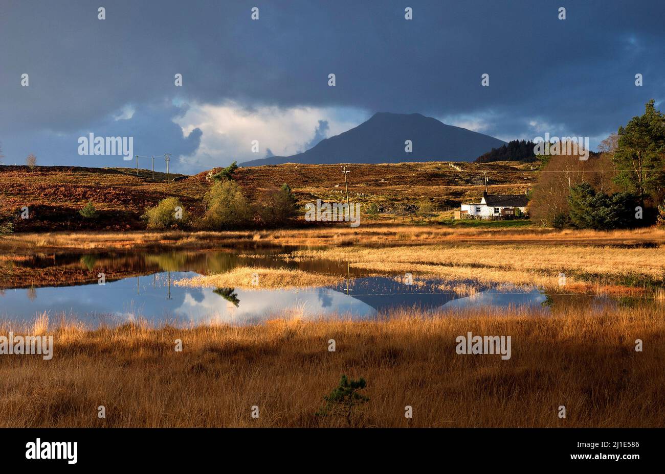 Llyn Sarnaus mit Seenlandhütte und entferntem Berg Moel Siobad im Herbst Gwydyr Forest, Snowdonia National Park Gwynedd North Wales Großbritannien Stockfoto
