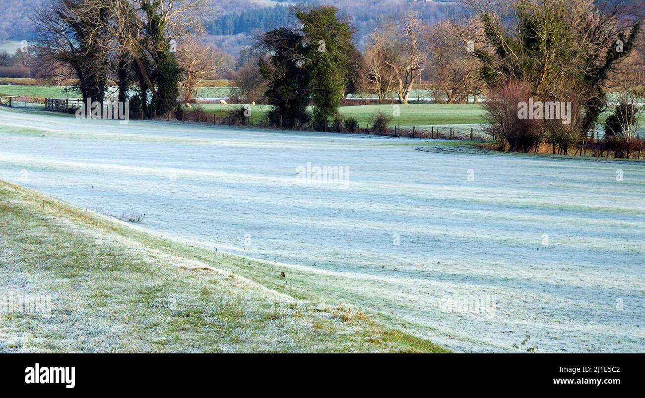 Wintertag auf den frostigen Weiden der Conwy Valley an einem frostigen Wintertag im Snowdonia National Park Gwynedd North Wales UK, Stockfoto