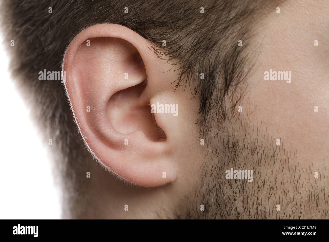 Nahaufnahme des männlichen Ohrs. Gesundheit und Hautpflege Stockfoto