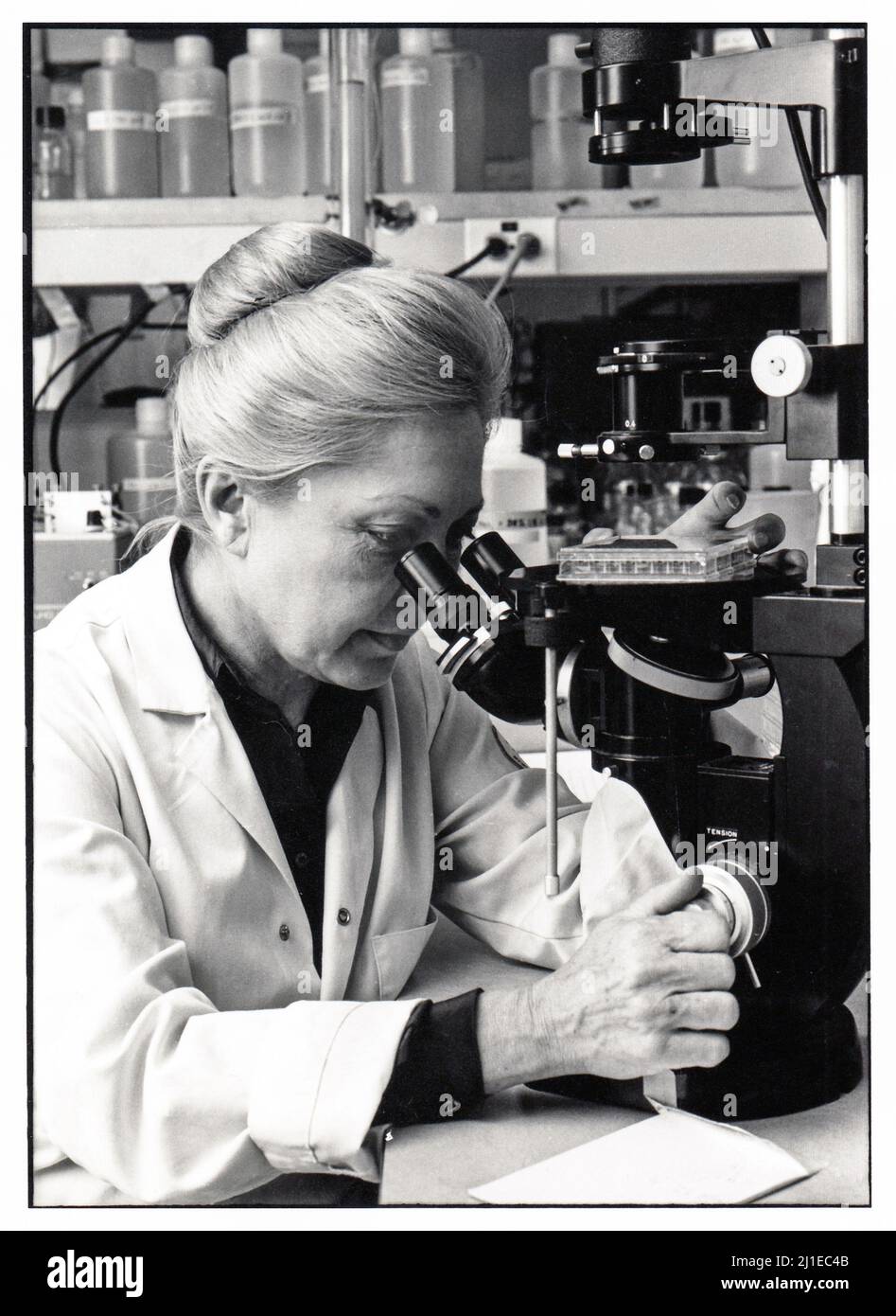 Ein Foto des Immunologen Dr. Mathilde Krim aus den späten 1970er Jahren im Interferon-Labor am Sloan Kettereing Institute in Manhattan, New York City. Sie war medizinische Mitarbeiterin, Gründungsvorsitzende von amfAR und eine Führungspersönlichkeit im Kampf gegen AIDS. Stockfoto