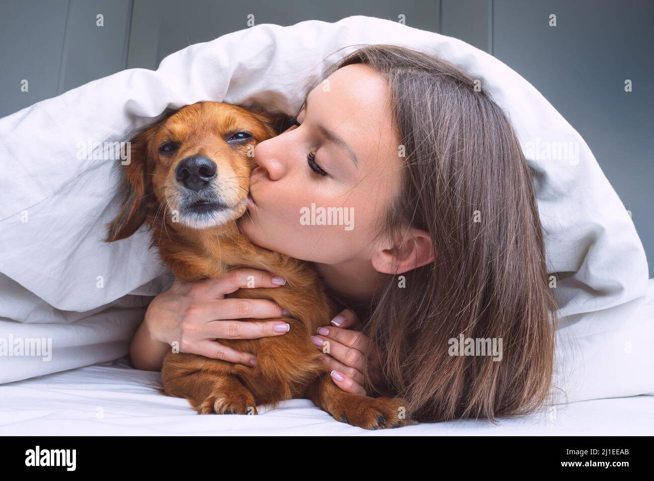 Schöne Frau küsst ihren lustigen Dackel-Hund unter der weißen Decke im ...