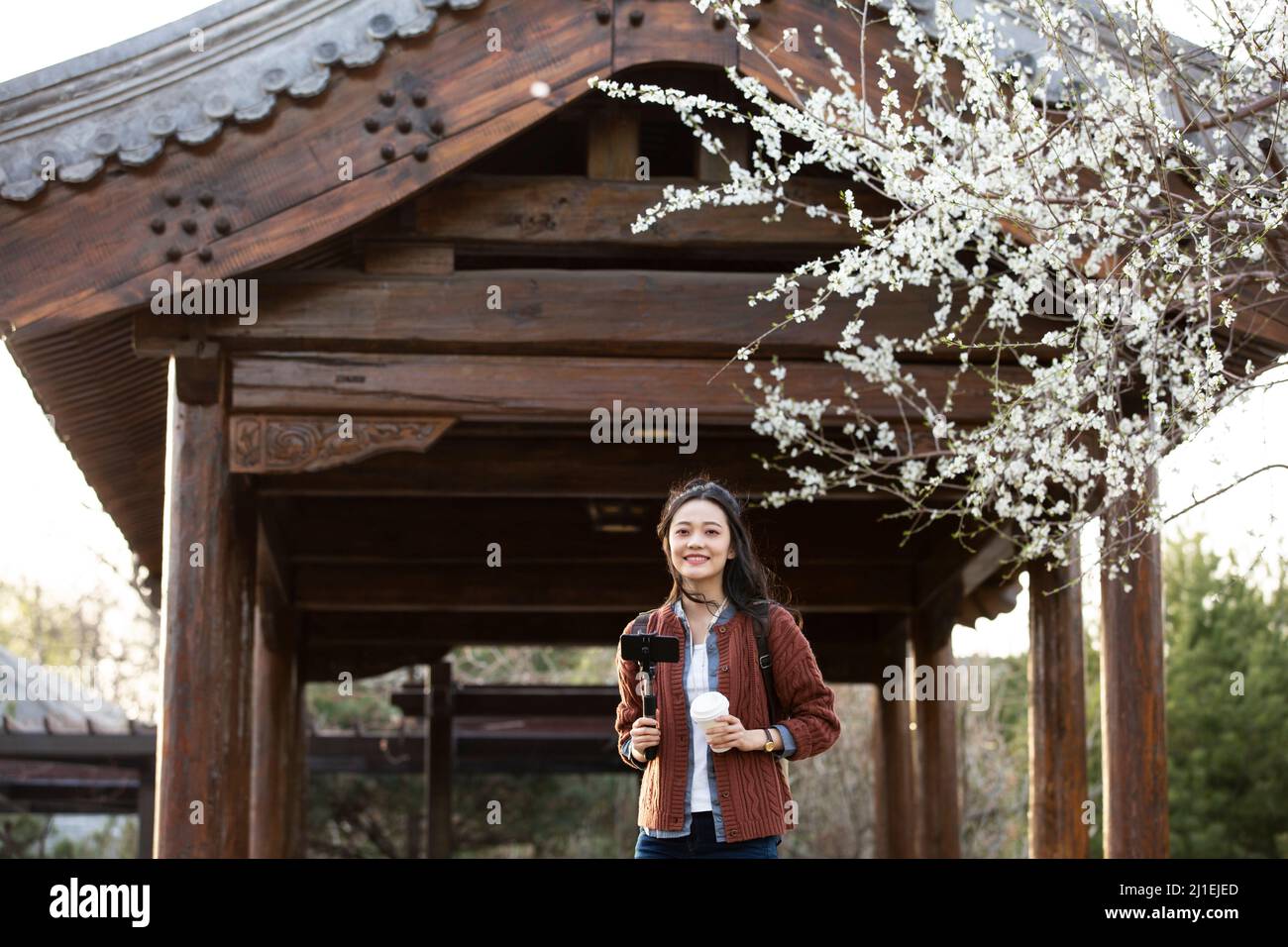 Junge Frau, die ein Selfie unter einem Pfirsichblütenbaum fotografiert - Stockfoto Stockfoto
