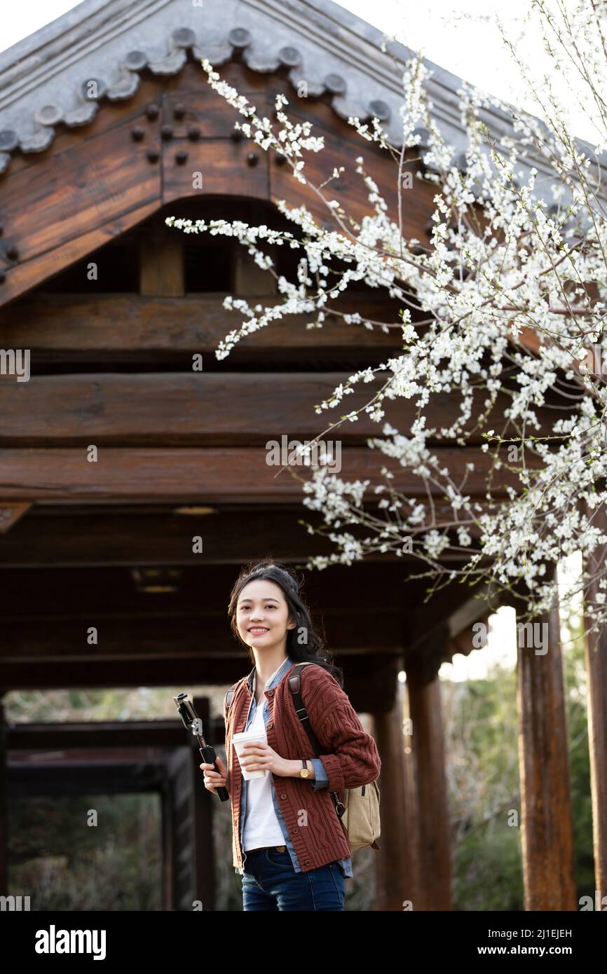 Weibliche Angestellte, die mit einem Selfie-Stick unter einem Pfirsichblütenbaum spielt - Stockfoto Stockfoto