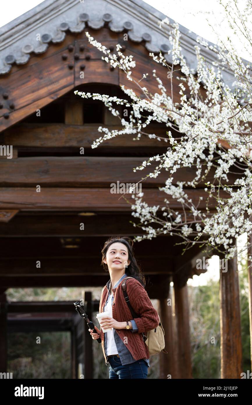 Weibliche Angestellte, die mit einem Selfie-Stick unter einem Pfirsichblütenbaum spielt - Stockfoto Stockfoto