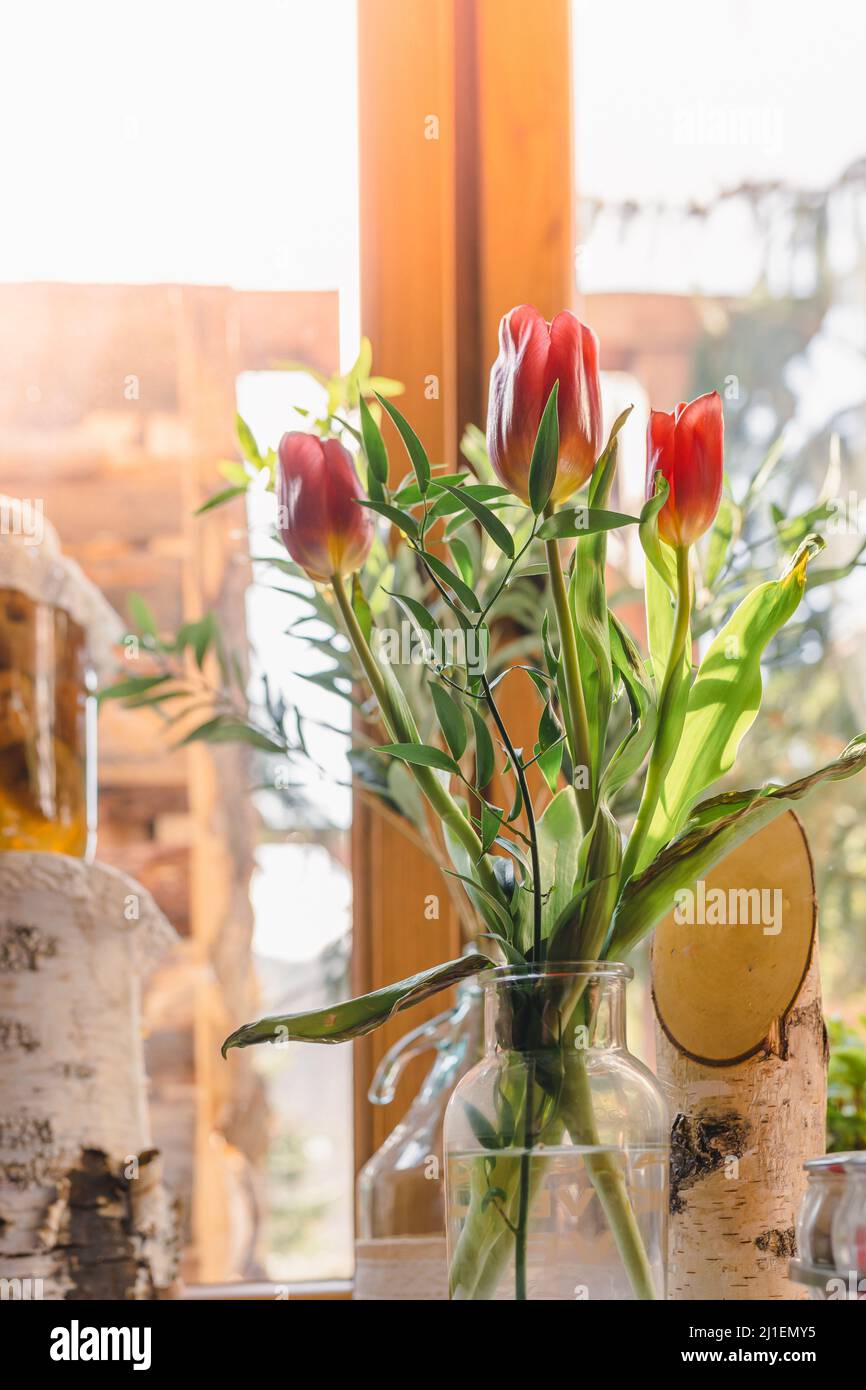 Blumenstrauß mit Frühlingsblumen Tulpen in Vase auf Fensterbank in Sonnenstrahlen Stockfoto