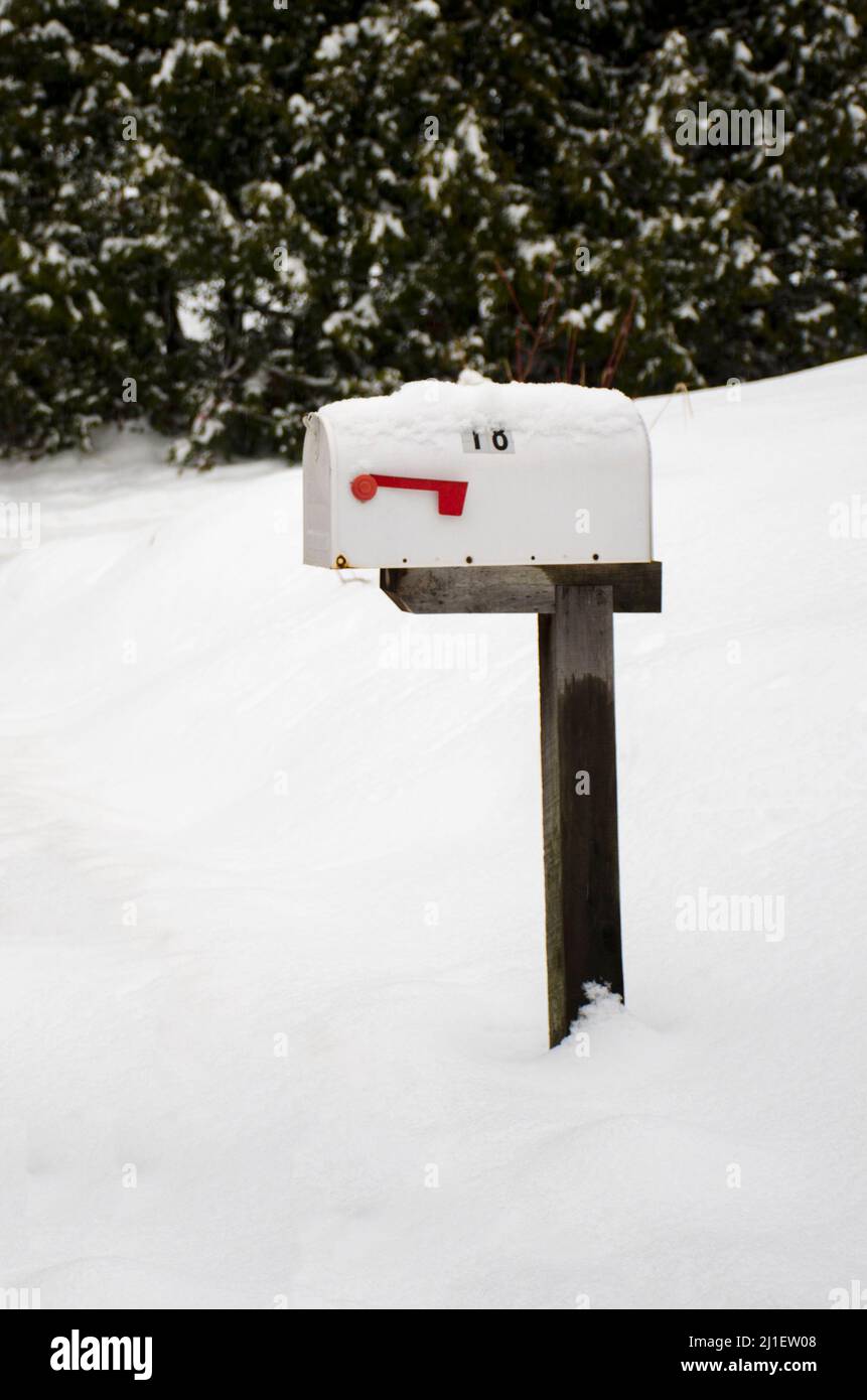 Weißer Briefkasten am Straßenrand mit roter Flagge auf einem Holzpfosten an einem verschneiten Tag. Ein isolierter Briefkasten mit Schnee und grünen Bäumen im Hintergrund. Stockfoto