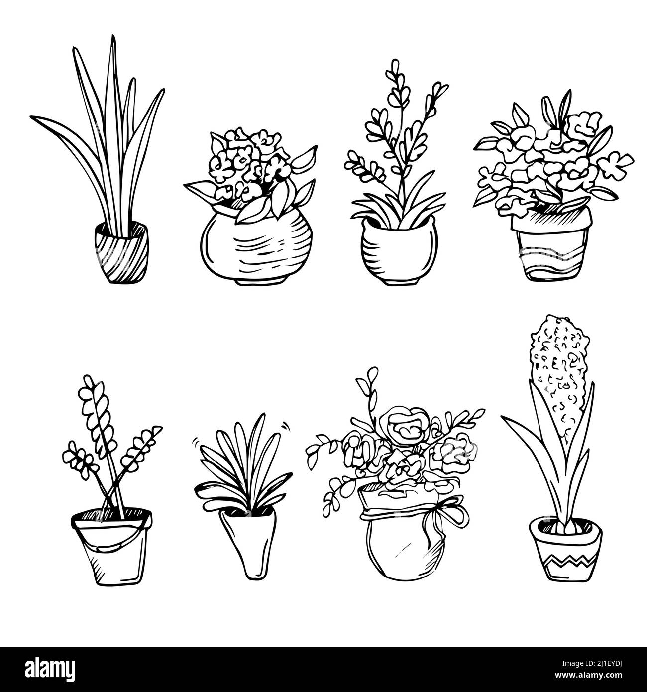 Hauspflanze im Topf, Linie Doodle Set. Exotischer linearer Zimmerpflanzen Blumentopf für den Innenbereich. Botanisches Haus Indoor blühenden Pflanzen. Isolierter Vektor Stock Vektor
