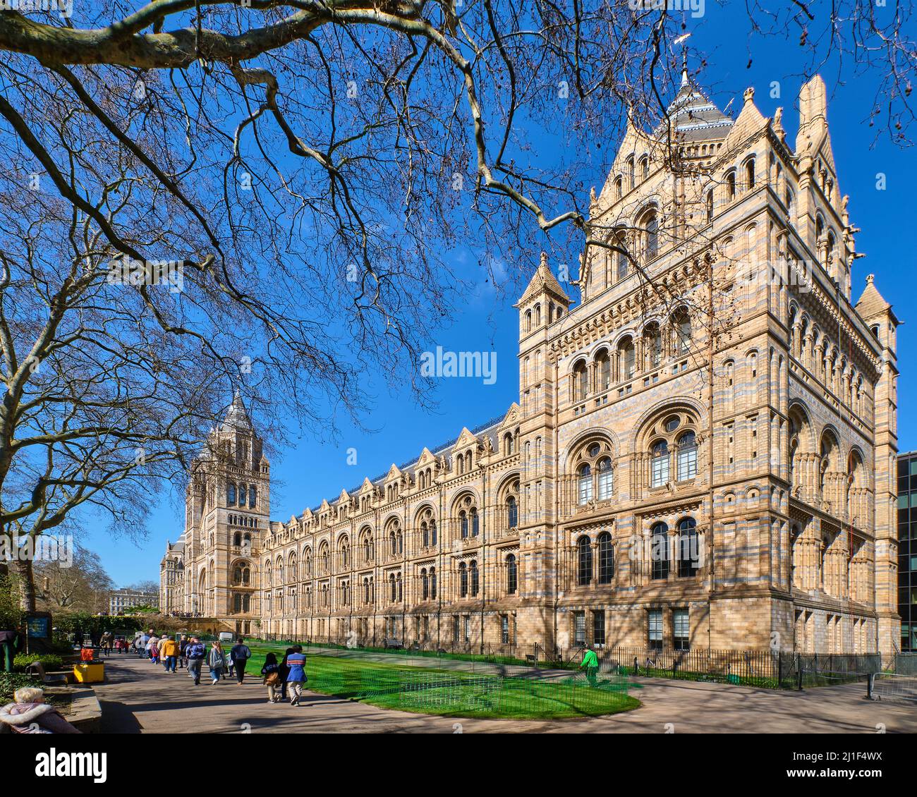 Natural History Museum London Stockfoto