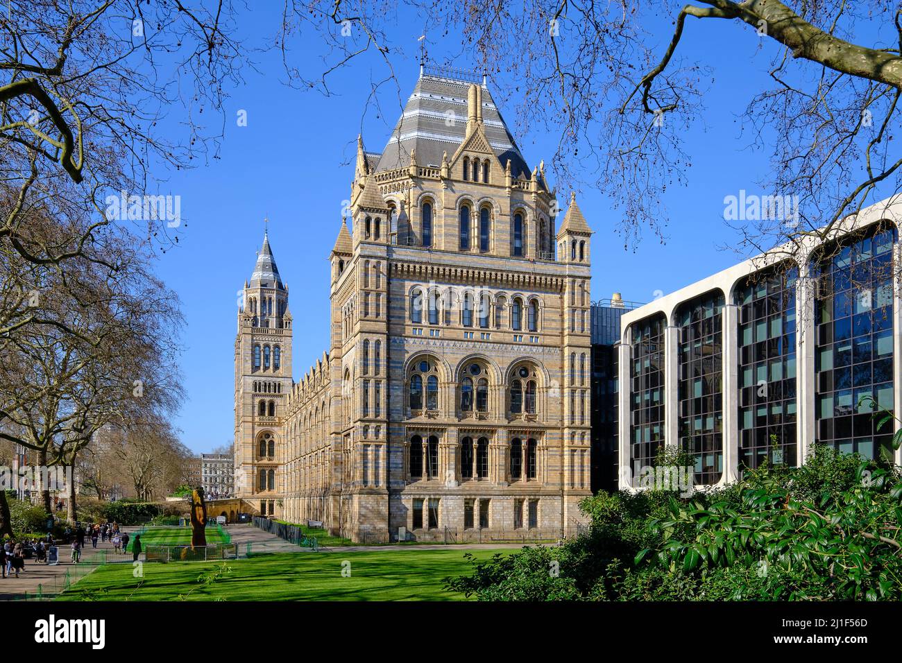 Natural History Museum London Stockfoto