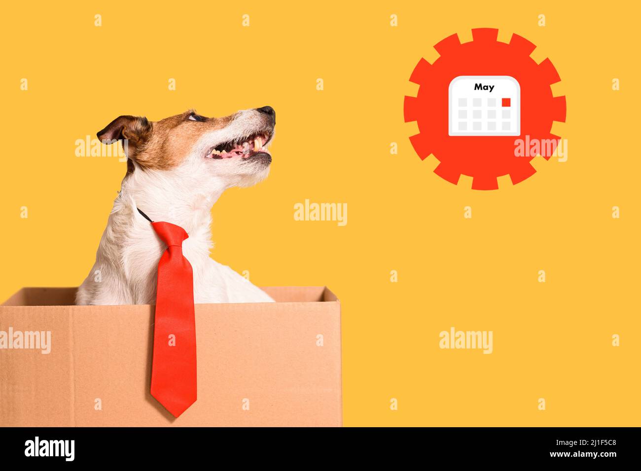 Funktioniert sofort nach dem Ausbaukasten. Konzept der Verwendung der Kalenderanwendung für Unternehmen Stockfoto