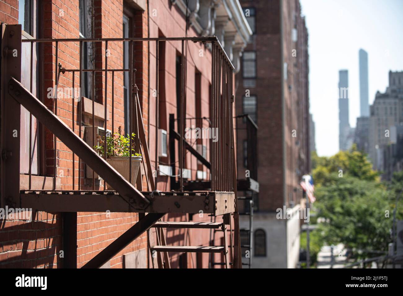 Ein kleiner Containergarten auf einer Feuerflucht eines Wohnhauses in New York City. Blick vom Highline Park. Stockfoto