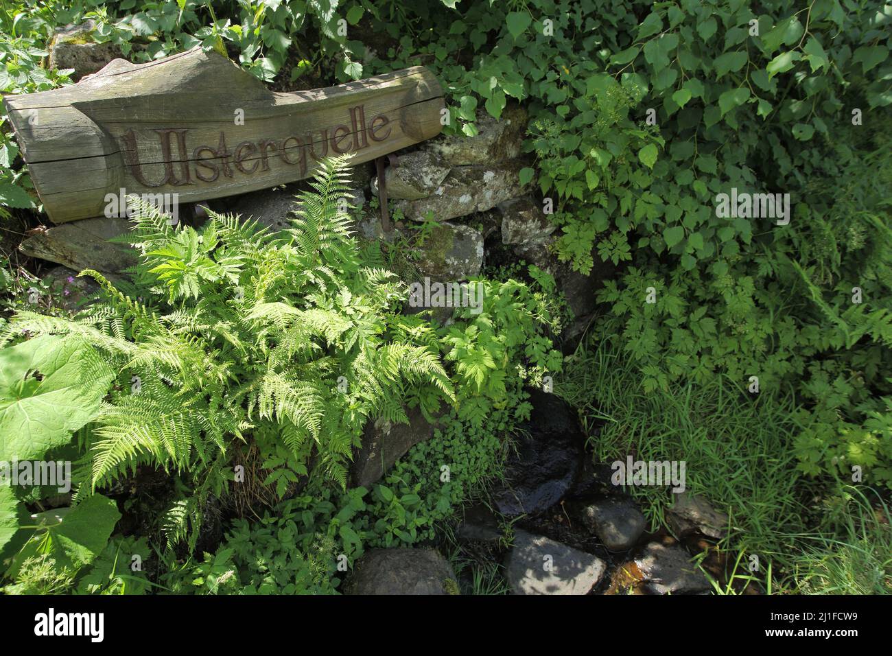 Ulsterquelle bei Kesselrain in der Langen Rhön, Hessen, Deutschland Stockfoto