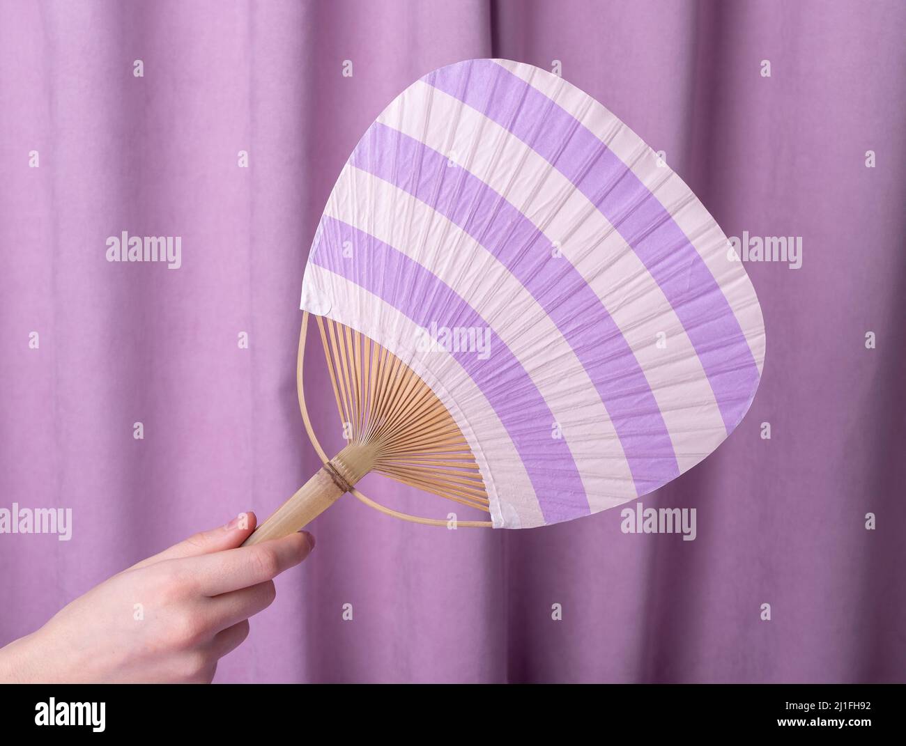 Frau Hand hält Utiva Fan auf violettem Hintergrund. Japanisches Accessoire für die Rettung von Wärme Konzept. Hochwertige Fotos Stockfoto