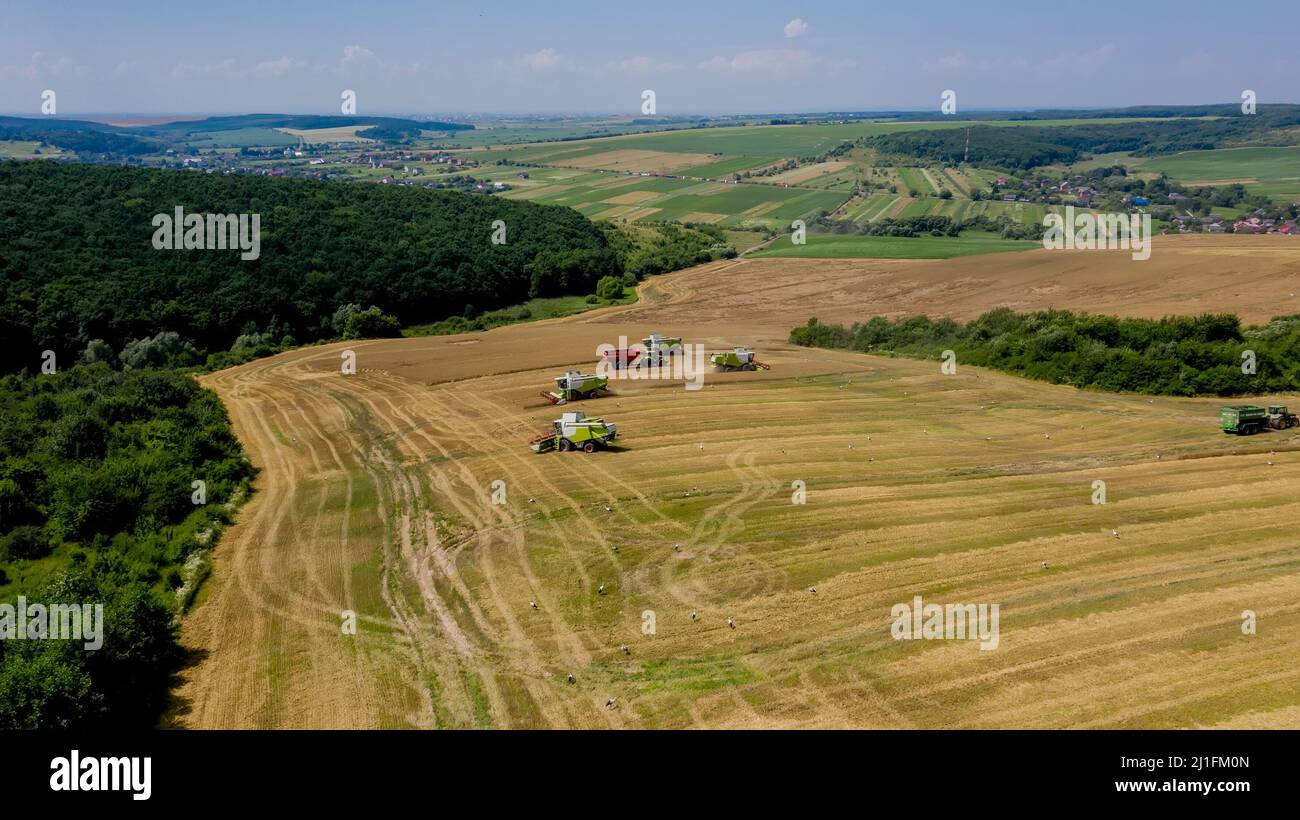 Der Erntemaschinen sammelt goldreife Ähren aus Weizen. Landwirtschaftliche Maschine. Der Sommerherbst funktioniert. Natur. Ukraine. Malerische Landschaft. Draufsicht. Stockfoto