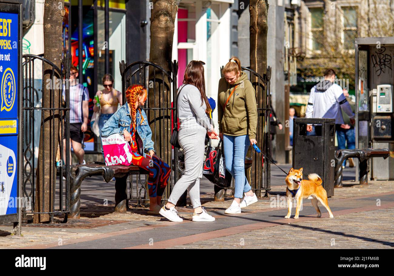 Dundee, Tayside, Schottland, Großbritannien. 25. März 2022. Wetter in Großbritannien: Aufgrund der warmen Sonne im März erreichten die Temperaturen in Teilen von Nordostschottland 16 Grad Die Bewohner von Dundee sind im Stadtzentrum unterwegs, nutzen das schöne Wetter und haben eine gute Zeit, um sich mit anderen zu unterhalten. Kredit: Dundee Photographics/Alamy Live Nachrichten Stockfoto