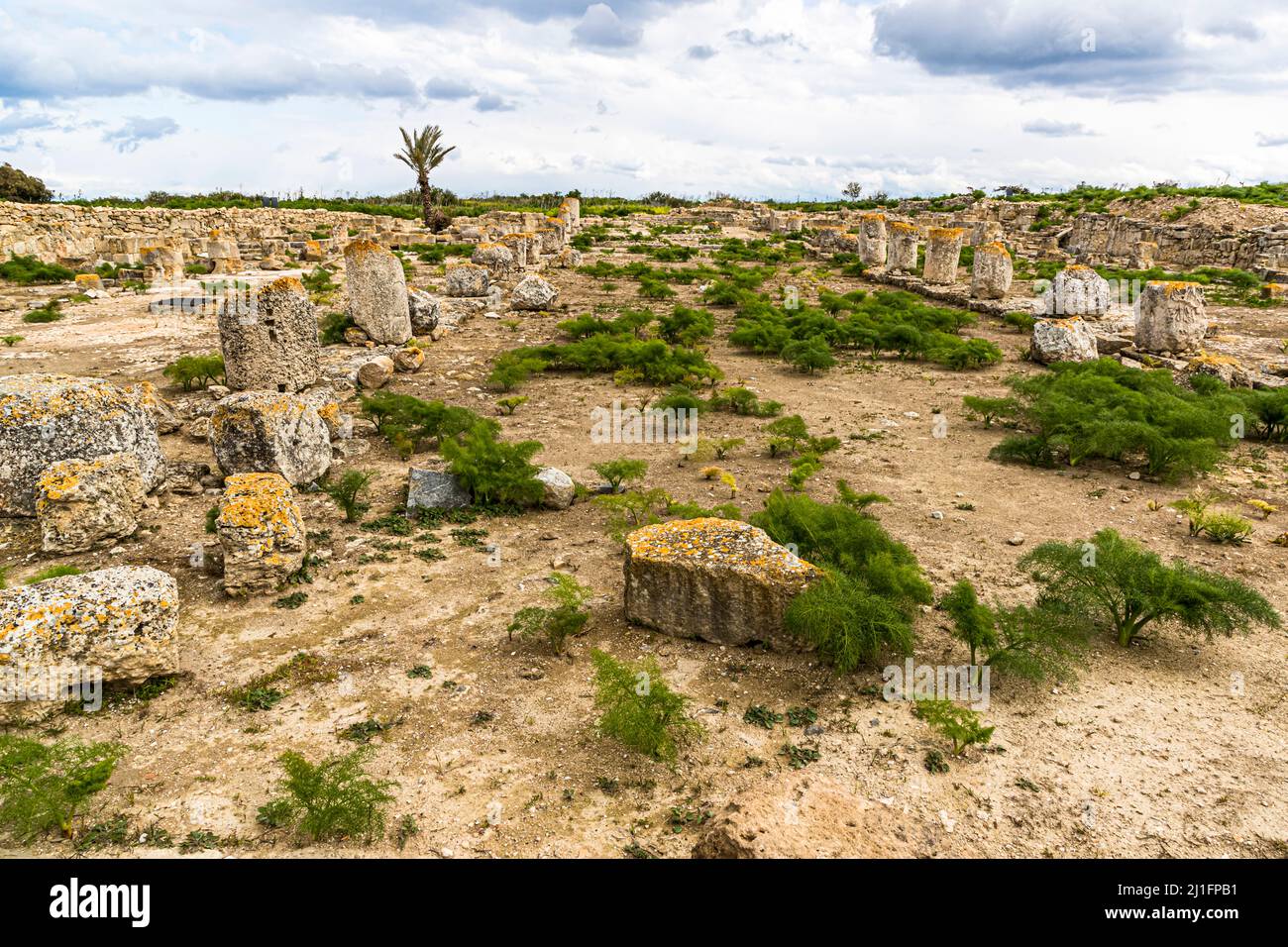 Ruinen von Salamis in Yeni Boğaziçi, Türkische Republik Nordzypern (TRNC) Stockfoto