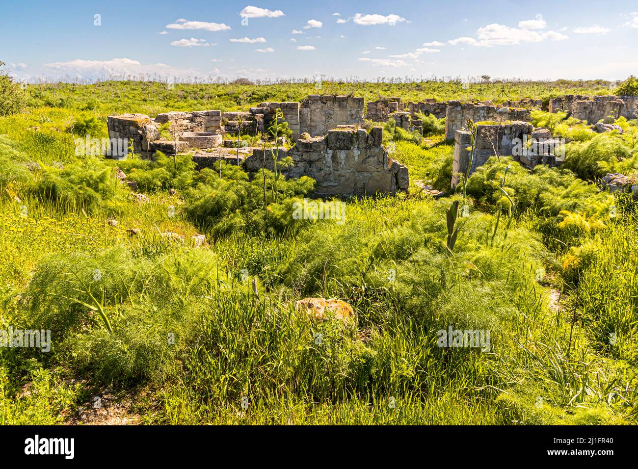 Alte Ölmühle in den Ruinen von Salamis bei Yeni Boğaziçi, Türkische Republik Nordzypern (TRNC) Stockfoto