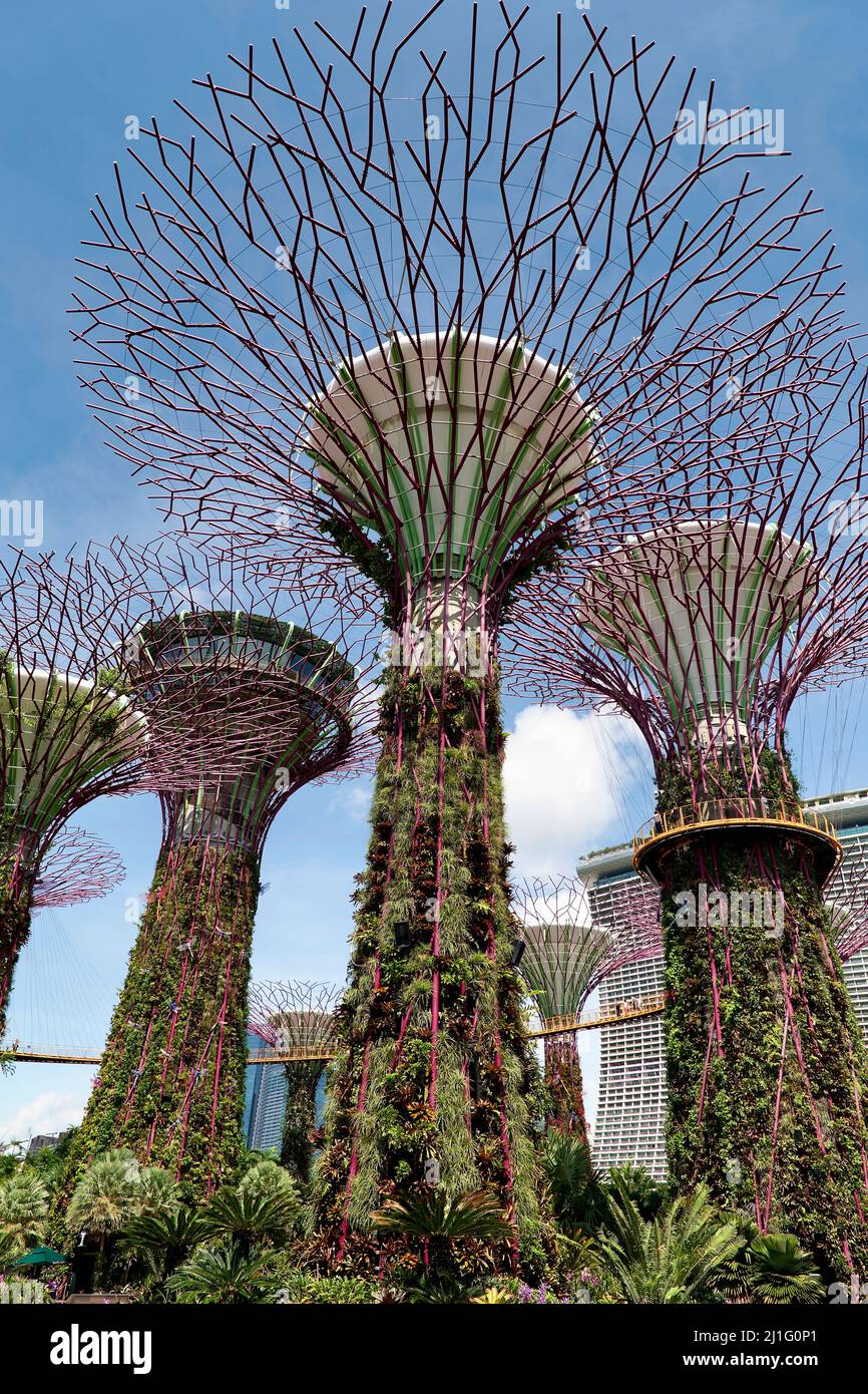 Singapur. Gardens by the Bay Stockfoto