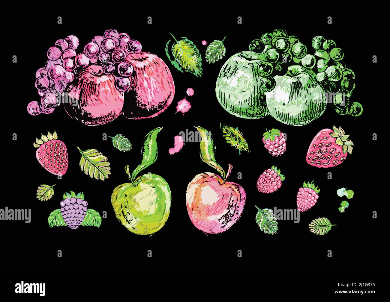 Handgezeichnete Vektor-Illustrationen von Früchten, Beeren mit grünen Blättern. Äpfel, Trauben, Himbeeren, Erdbeeren, Brombeeren. Stock Vektor