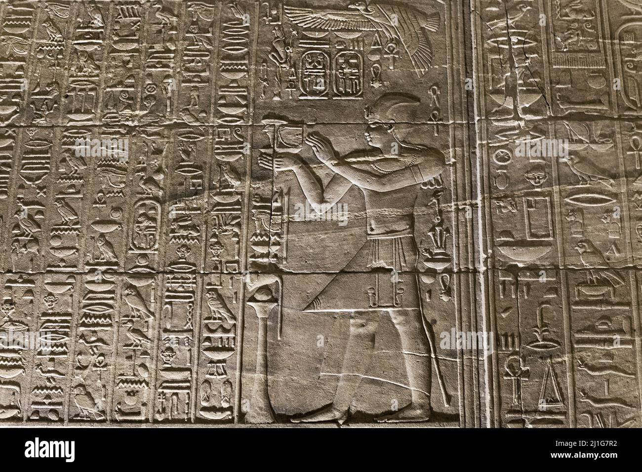 Bas-Relief Schnitzereien und Hieroglyphen im Tempel der Isis bei Philae Stockfoto