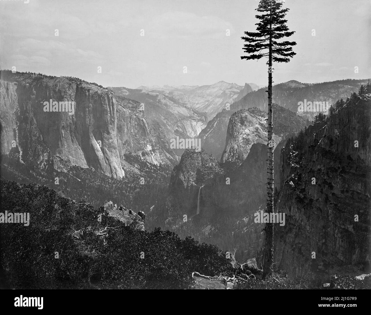 Yosemite Valley aus der Best General View des amerikanischen Fotografen Carleton E. Watkins (1829–1916), 1866 Stockfoto